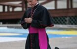 Mgr Strickland démis par François