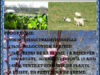 Inscrivez-vous pour la Journée de printemps “Retour à la terre” organisée le samedi 10 mai 2025,  en pays Charolais à la ferme