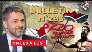 Bulletin N° 293 – Centre d’Analyse Politico-Stratégique – Victoire électorale ! Bunker Bardella, ukroterrorisme. – 5 juin 2026