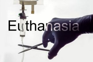 15 juillet 2026 -  les députés français votent oui à l'euthanasie