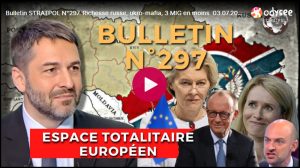 Bulletin N° 297 – Centre d’Analyse Politico-Stratégique – Richesse russe, ukro-mafia, 3 MIG en moins. – 3 juillet 2026